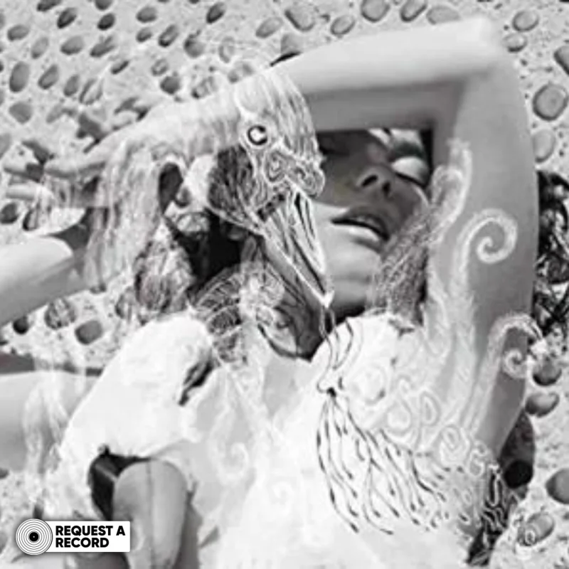 Bjrk - Vespertine (Arrives in 21 Days)