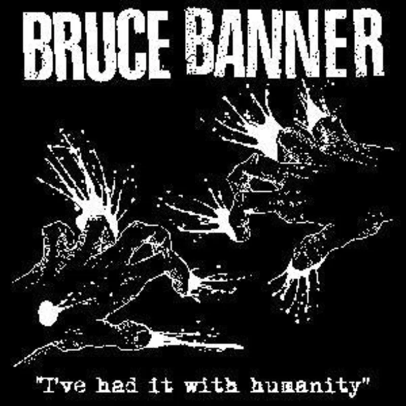 BRUCE BANNER sticker