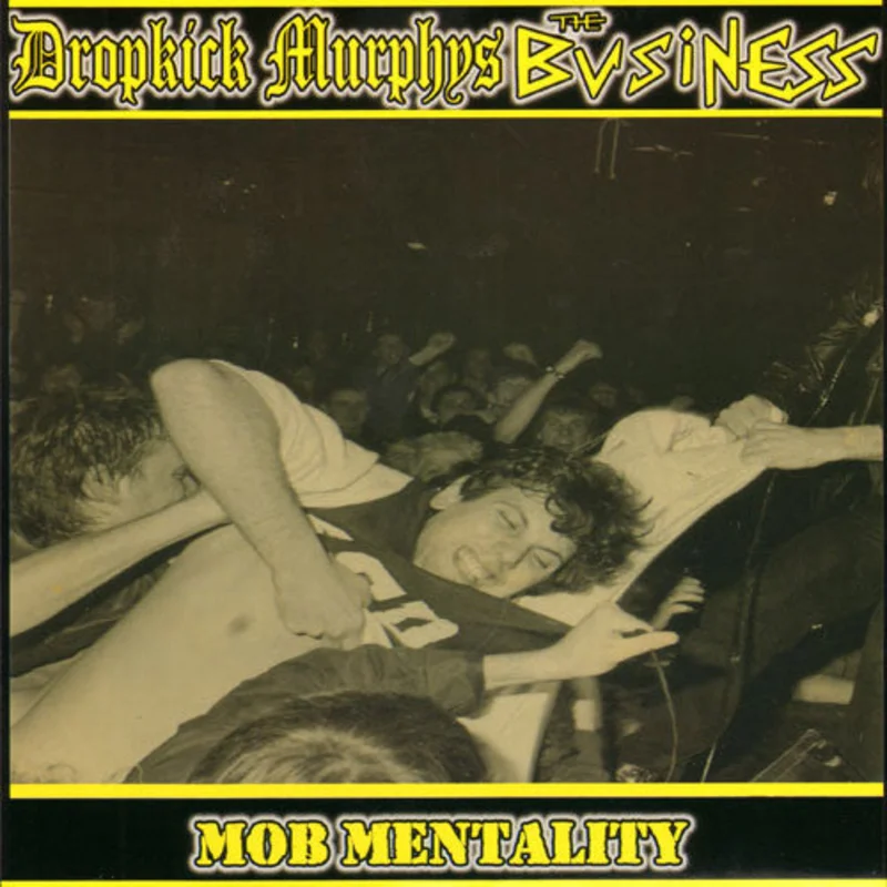 Business / Dropkick Murphys - Split NEW 7"