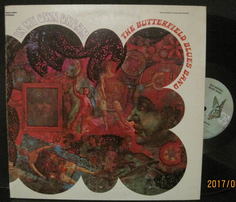 Butterfield Blues Band - In My Own Dream