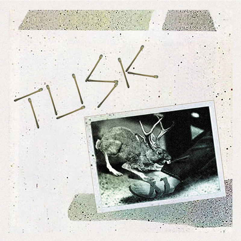 Camper Van Beethoven - Tusk - 2 LPs on limited colored vinyl for RSD26