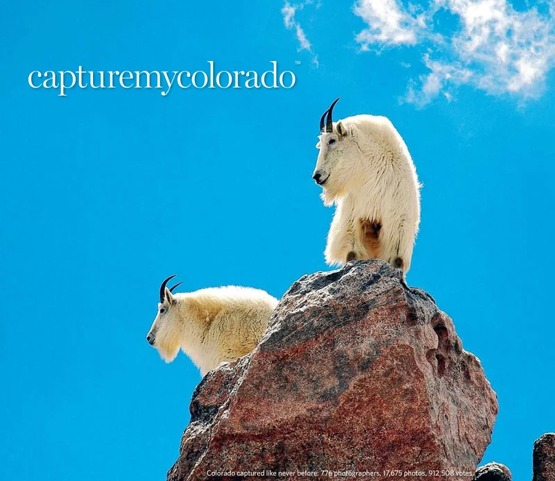 Capture My Colorado: Sky-Hi