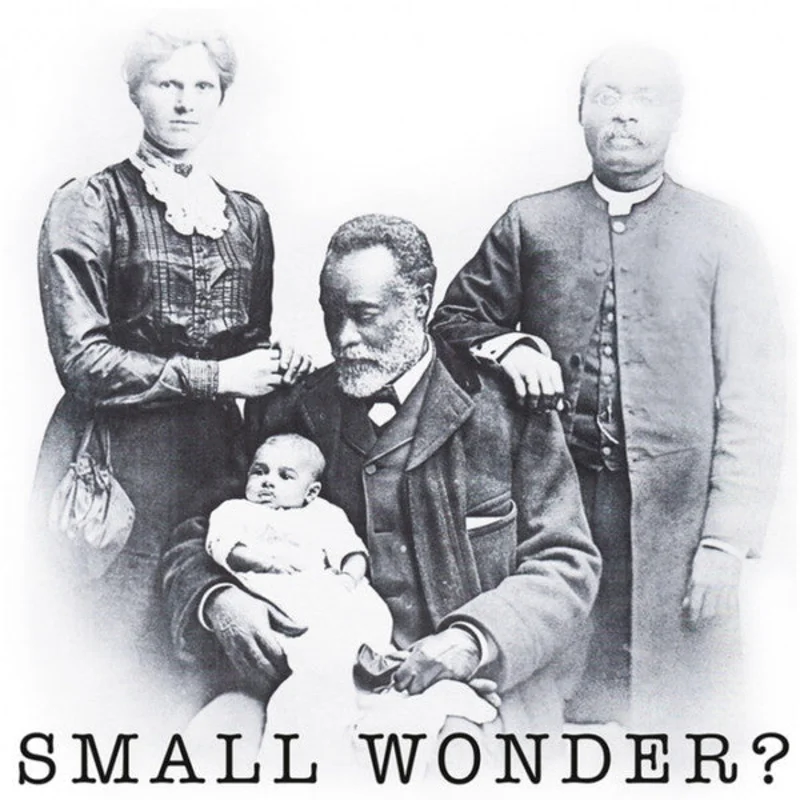 Carpettes - Small Wonder? NEW 7"