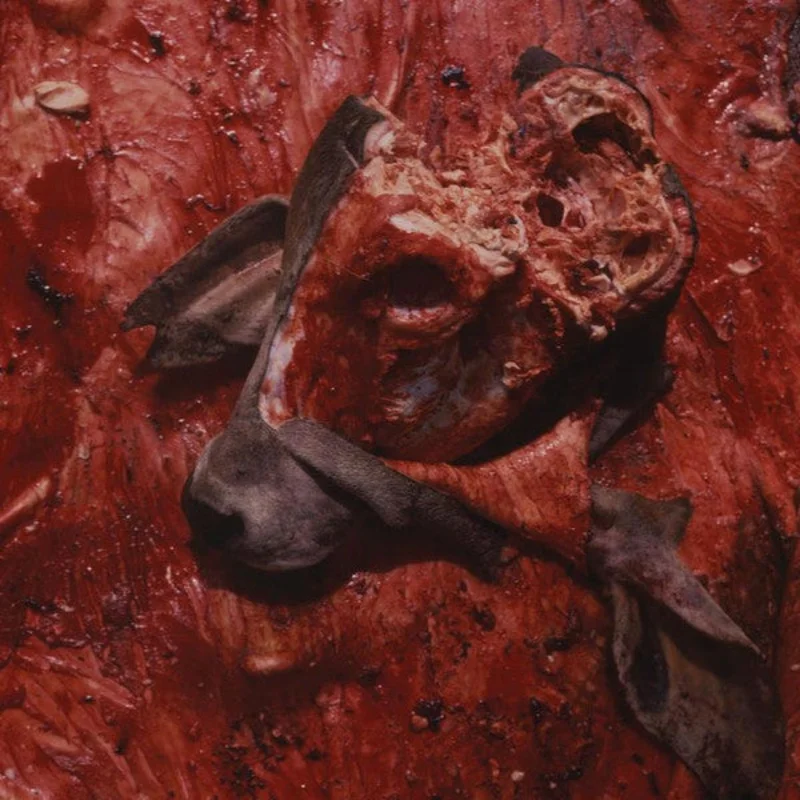 Cattle Decapitation - Human Jerky NEW LP