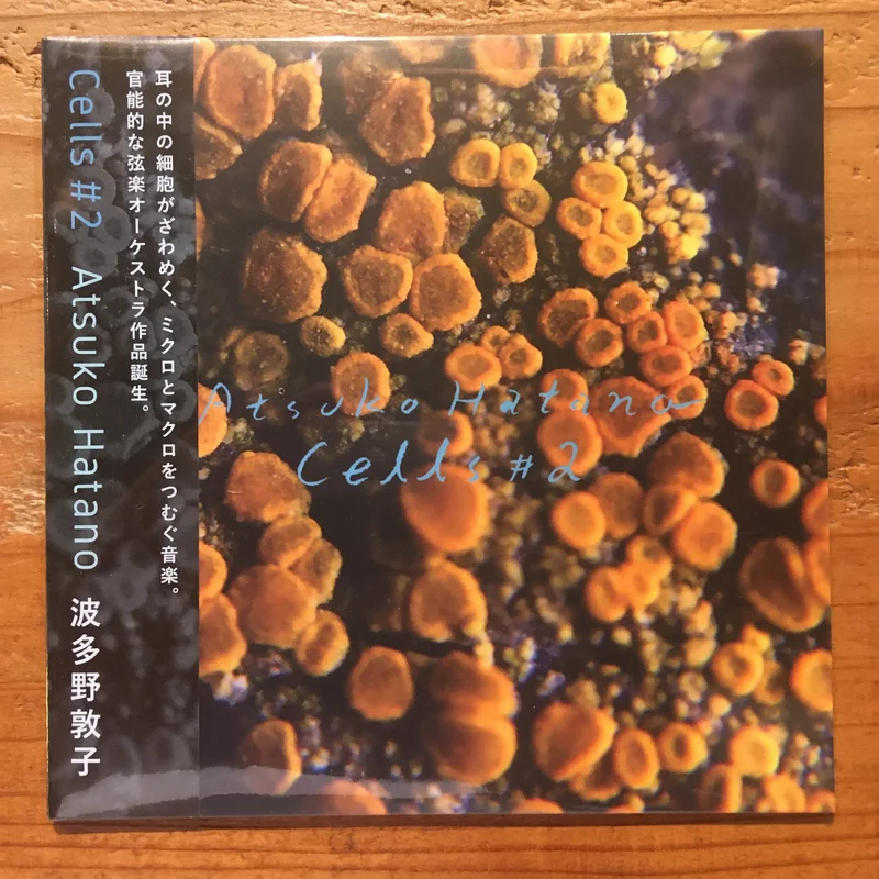 - Cells #2 (CD)
