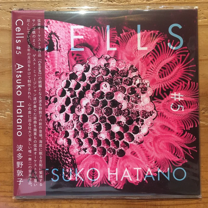 - Cells #5 (CD)