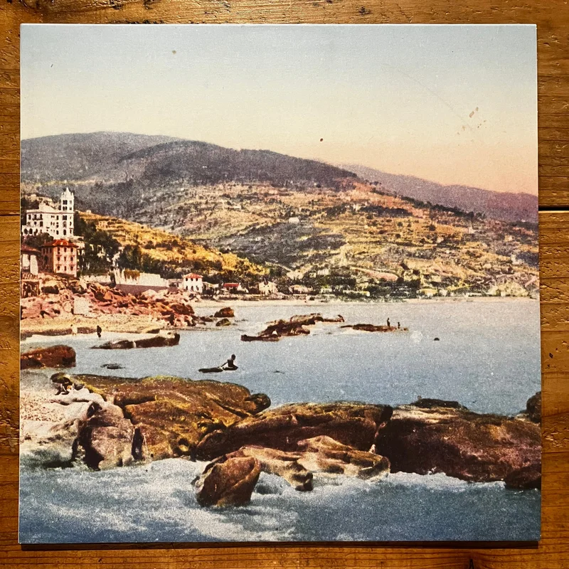 Charcoal Owls - Tin Roof (LP)
