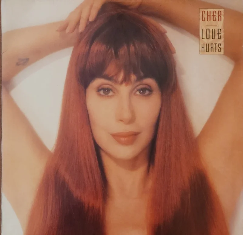 Cher - Love Hurts Lp