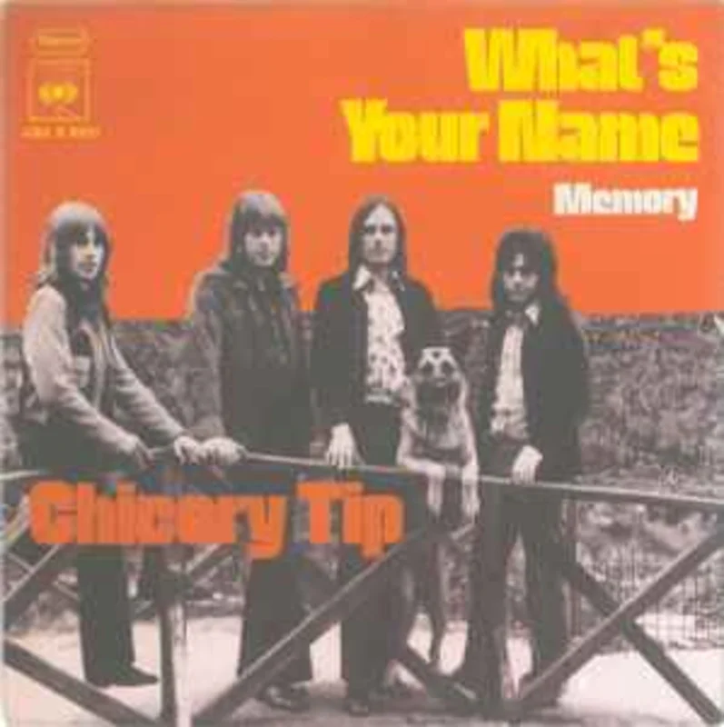 Chicory Tip  What's Your Name  (1972)     7"