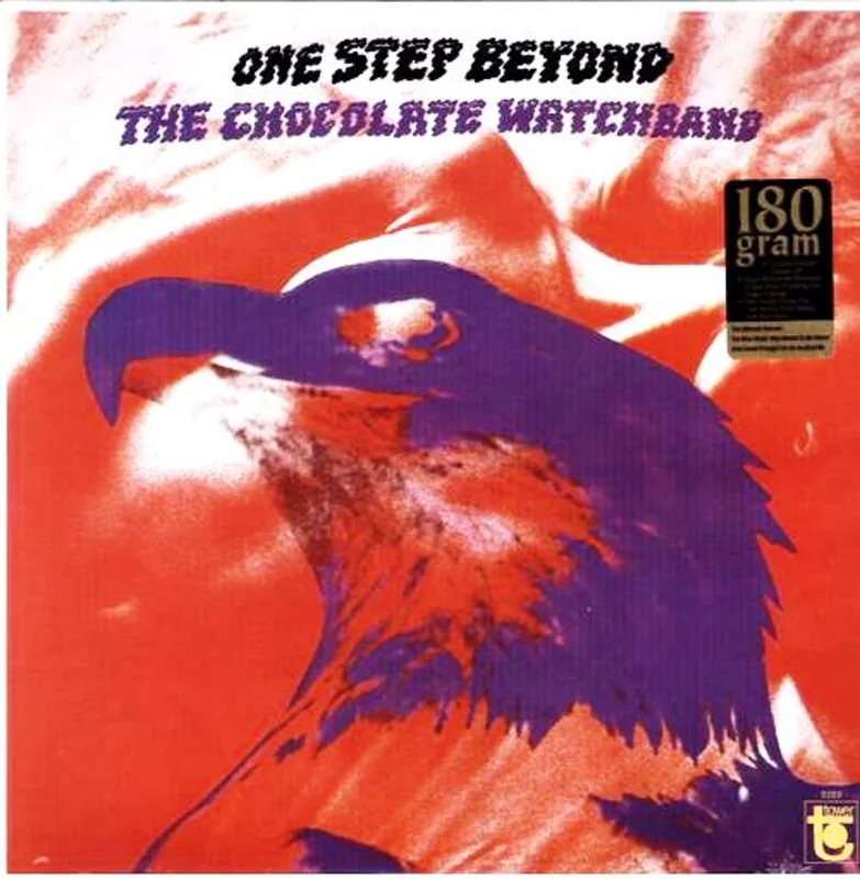 Chocolate Watchband - One Step Beyond - 180g