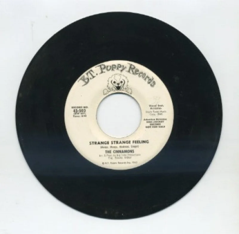 Cinnamons - Strange Strange Feeling/ I'm Not Gonna Worry