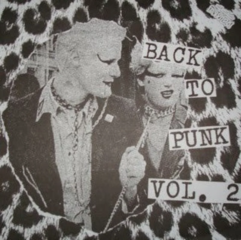 Comp - Back To Punk Vol. 2 USED 10"