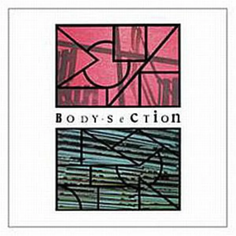 Comp - Body Section NEW POST PUNK / GOTH LP
