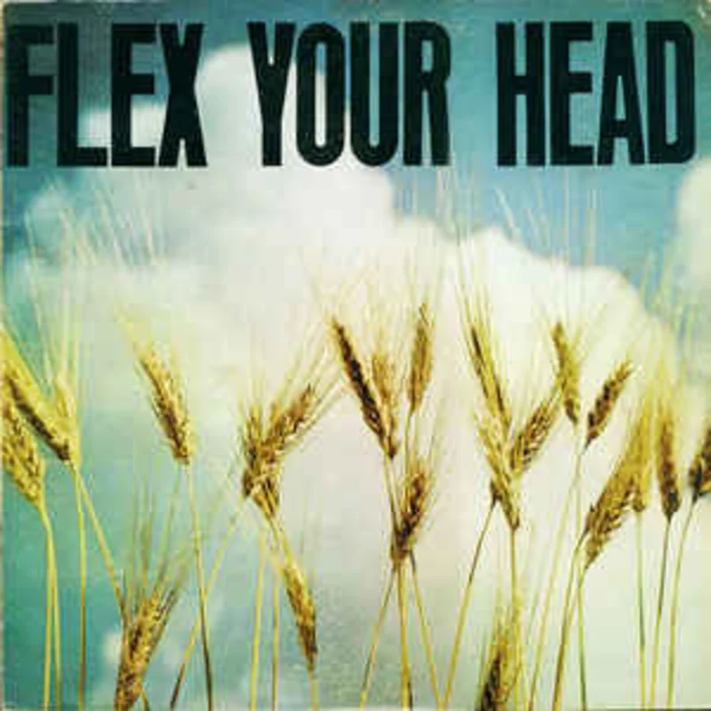 Comp - Flex Your Head USED LP