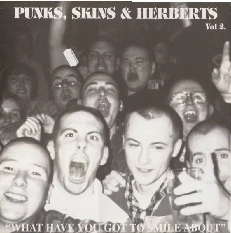 Comp - Punks, Skins & Herberts Vol. 2 USED LP