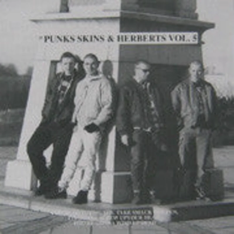 Comp - Punks Skins & Herberts Vol. 5 USED LP