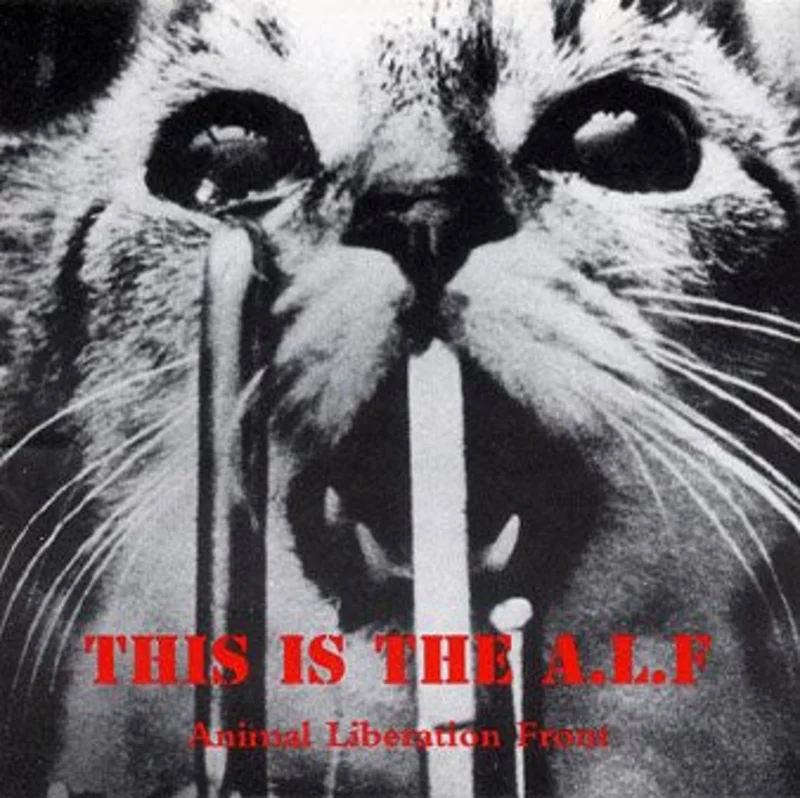 Comp - This Is The Alf NEW CD