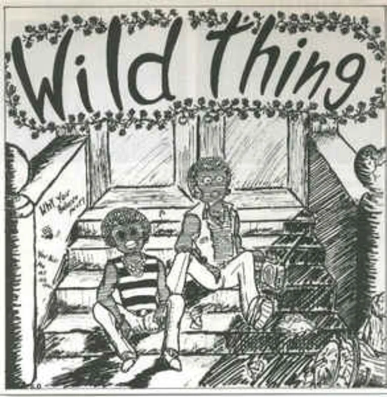 Comp - Wild Thing USED 2x7" (flexi)