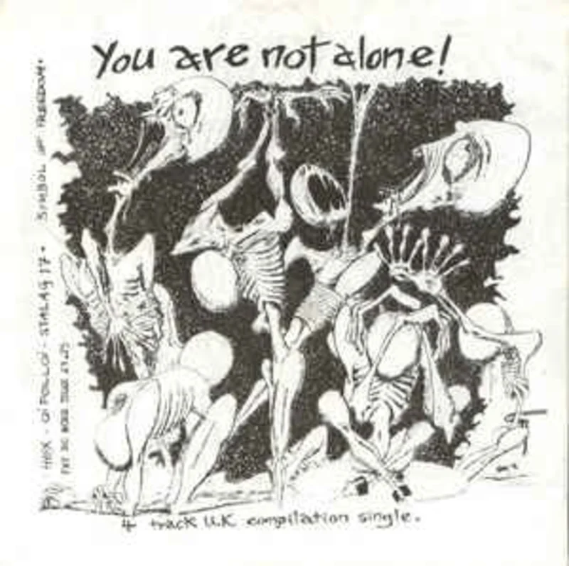 Comp - You Are Not Alone USED 7"