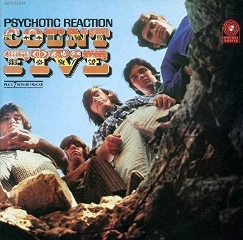 Count Five - Psychotic Reaction - 180g