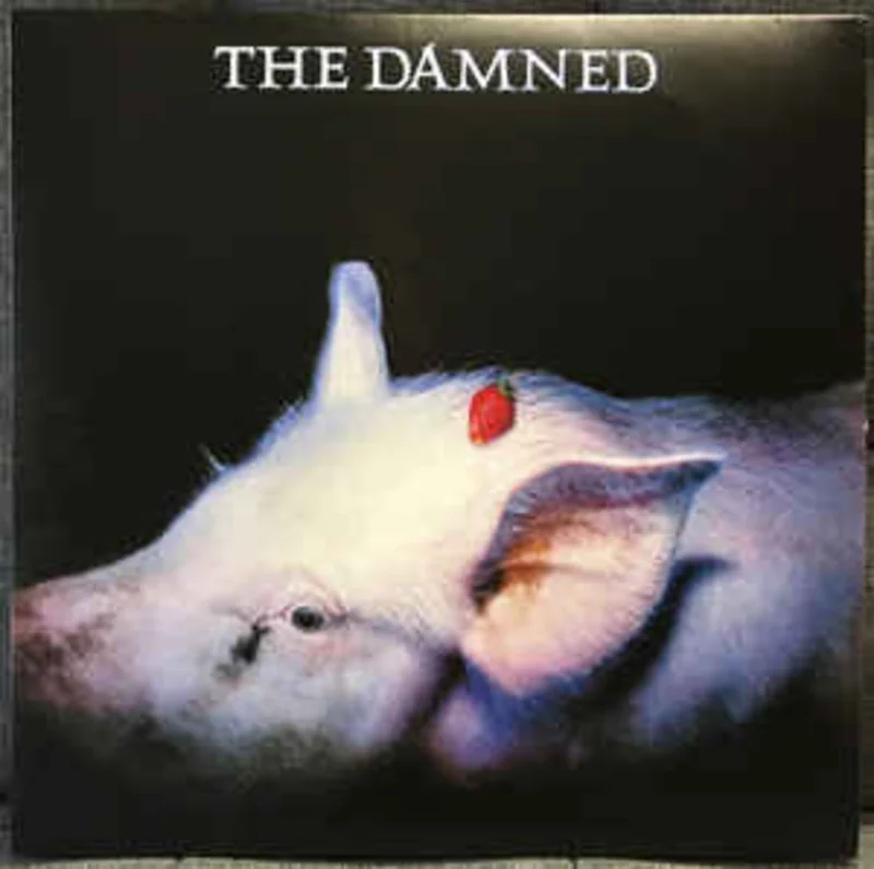 Damned - Strawberries NEW LP