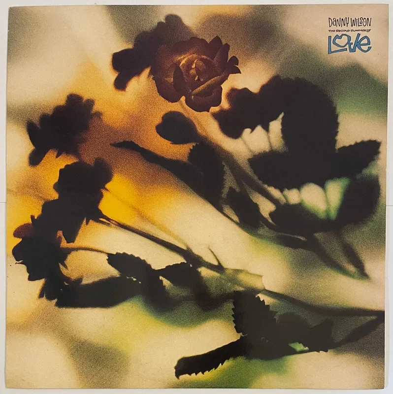 Danny Wilson - The Second Summer Of Love 12" Single