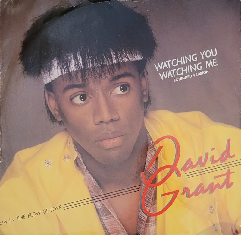 David Grant - Watching You Watching Me (Extended Version) 12" Single