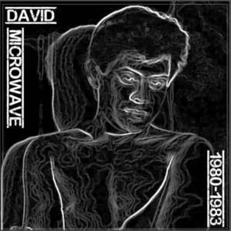 David Microwave - 1980 to 83 Deca - Modulectron NEW POST PUNK / GOTH LP