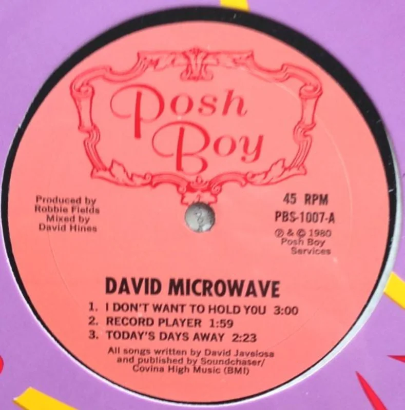 David Microwave - S/T USED POST PUNK / GOTH LP