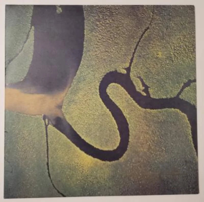 Dead Can Dance - The Serpent's Egg