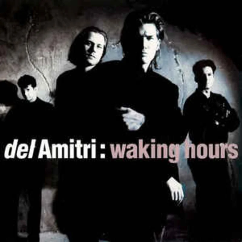 Del Amitri  Waking Hours  (1990)