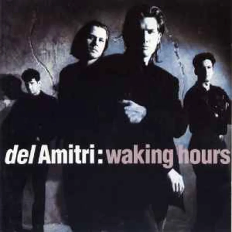 Del Amitri  Waking Hours     CD