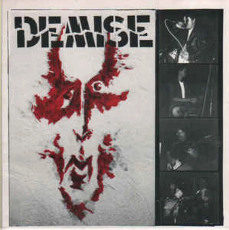 Demise - S/T USED 7"