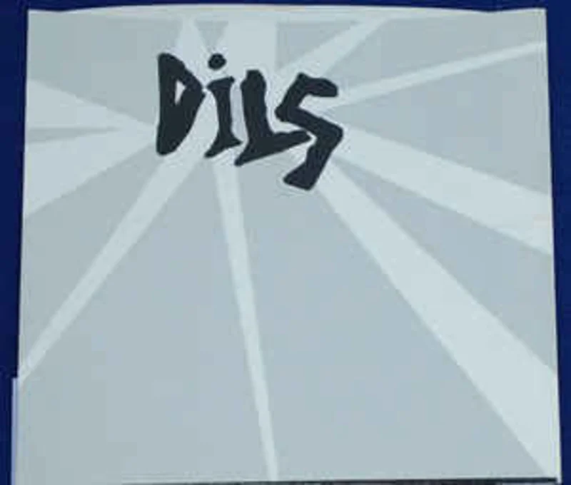 Dils - I Hate The Rich USED 7" (1985)