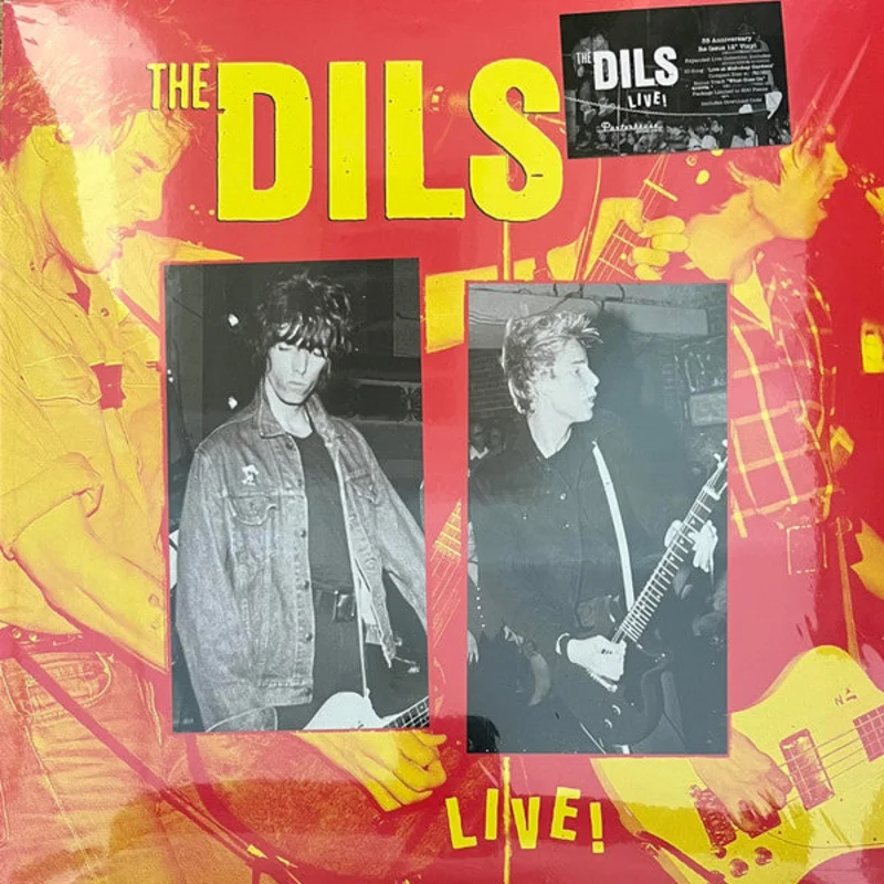 Dils - Live! USED LP