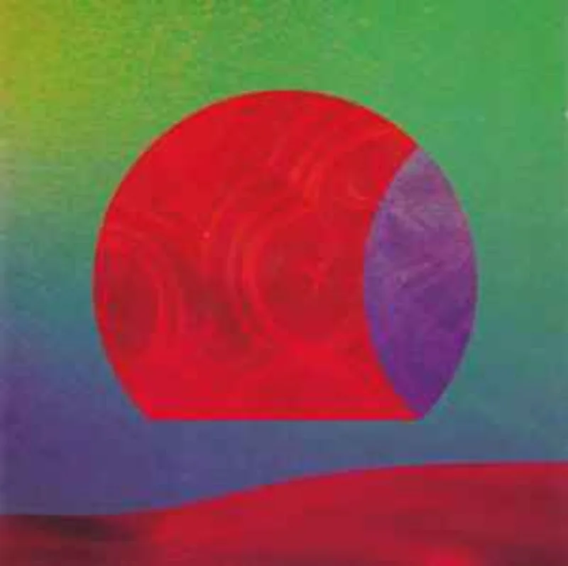 Django Django  Hi Djinx! Django Django Remixed  (2012)     CD