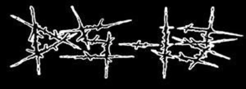 DS 13 patch