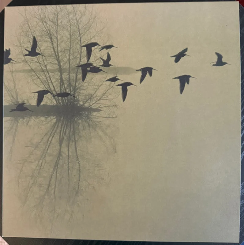 Dusk - ...Majestic Thou In Ruin NEW METAL LP