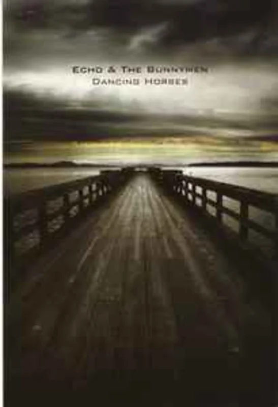 Echo & The Bunnymen  Dancing Horses  (2007)     DVD