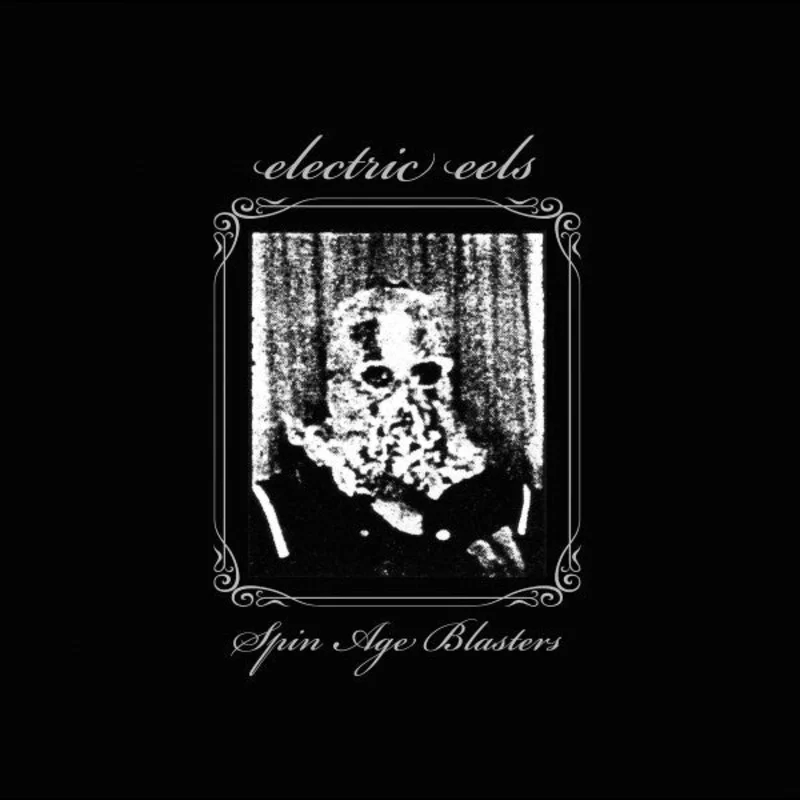 Electric Eels - Spin Age Blasters NEW 2xLP