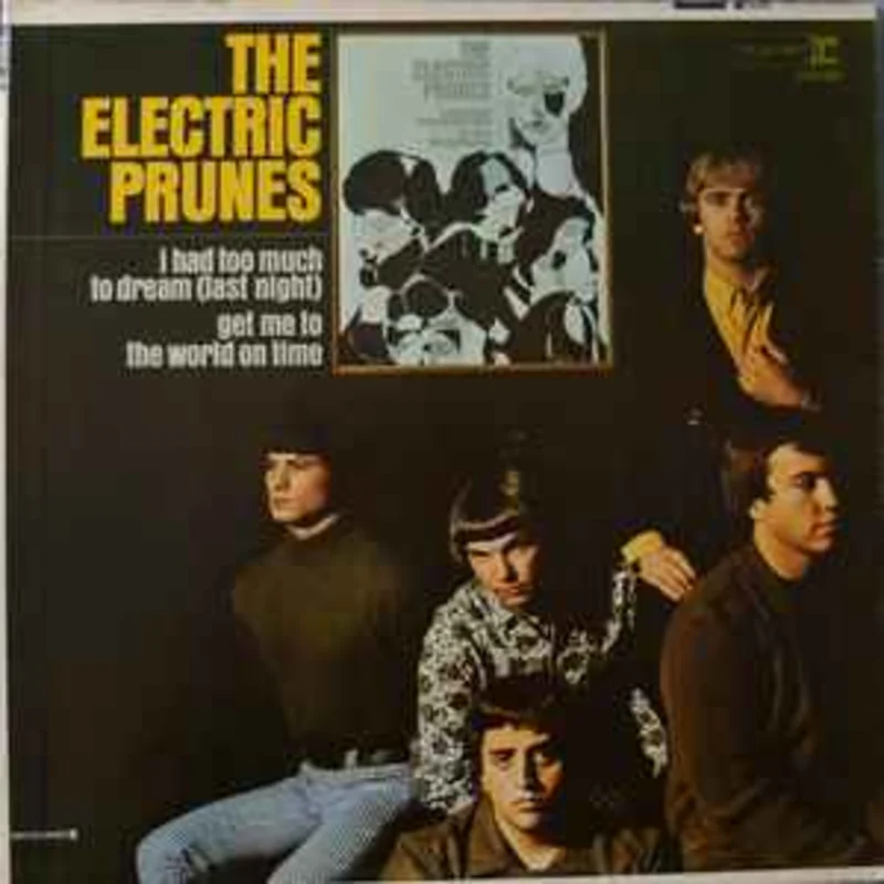 Electric Prunes - I Had Too Much To Dream (Last Night)