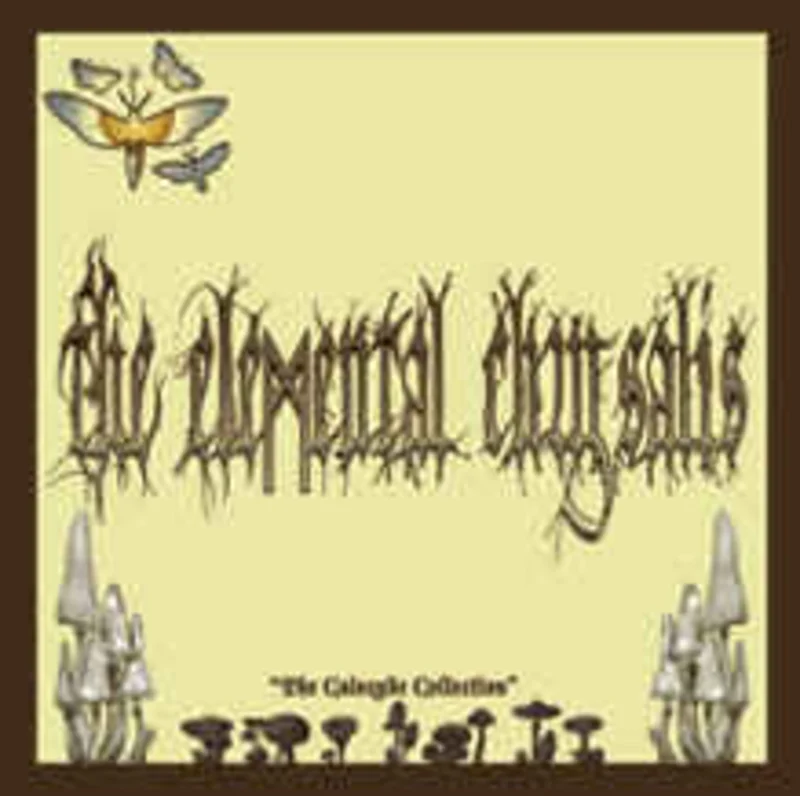 Elemental Chrysalis - The Calocybe Collection USED CD