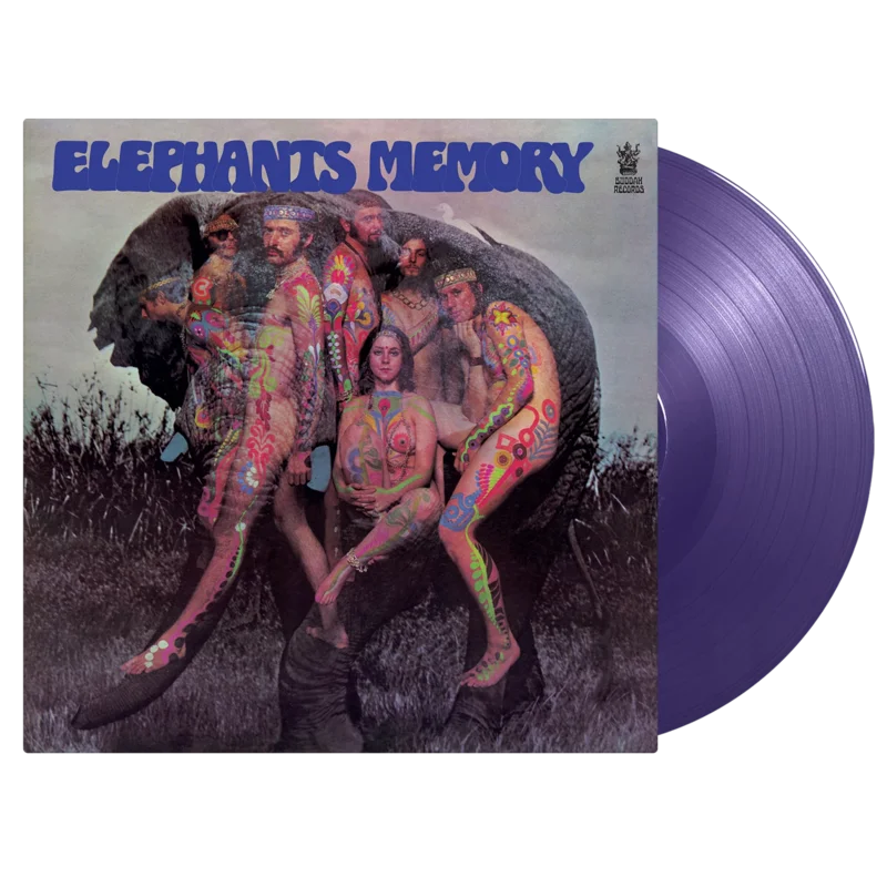 Elephant's Memory