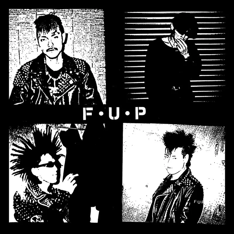 F.U.P. - Noise And Chaos NEW LP
