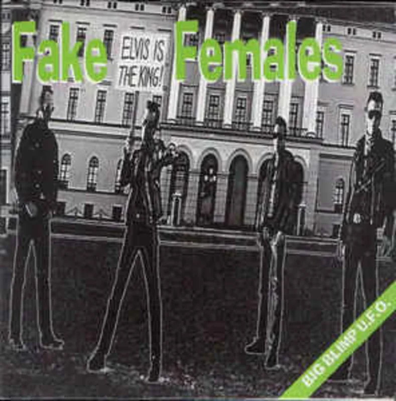 Fake Females - Big Blimp UFO USED 7"