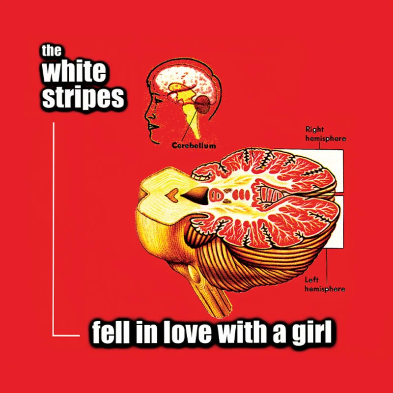 Fell In Love With A Girl