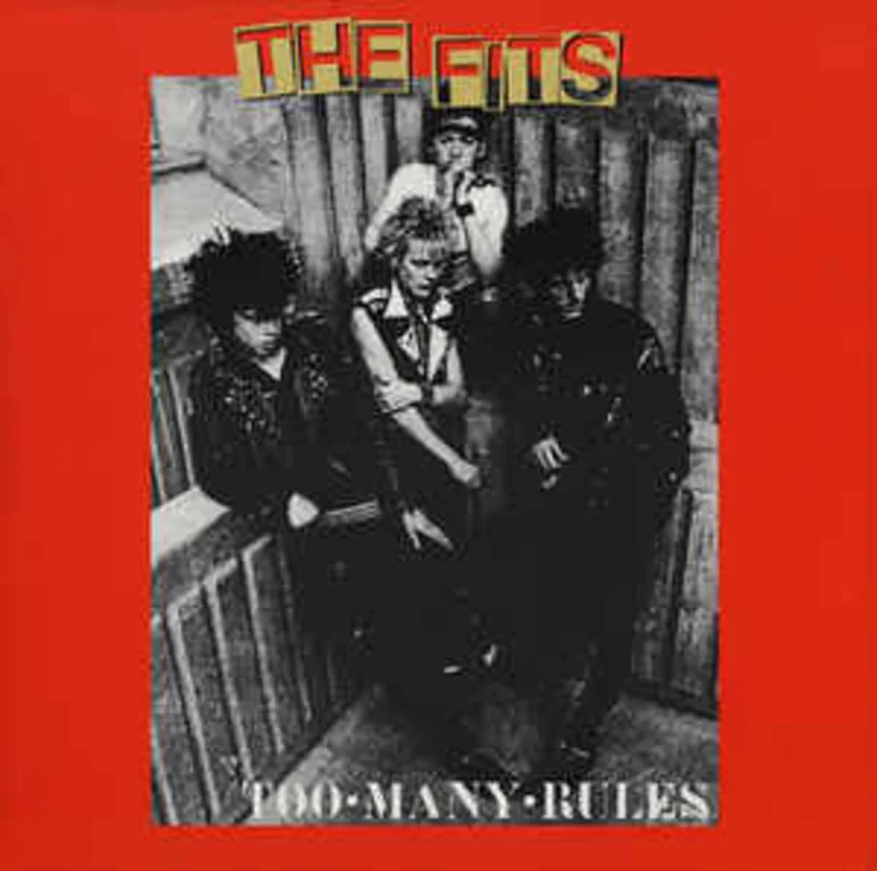 Fits - Too Many Rules USED LP