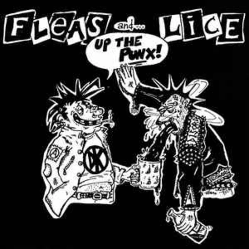 Fleas And Lice / Assrash - Split USED 7"