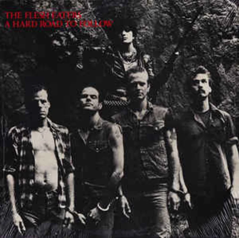 Flesh Eaters - A Hard Road To Follow USED LP (sealed)