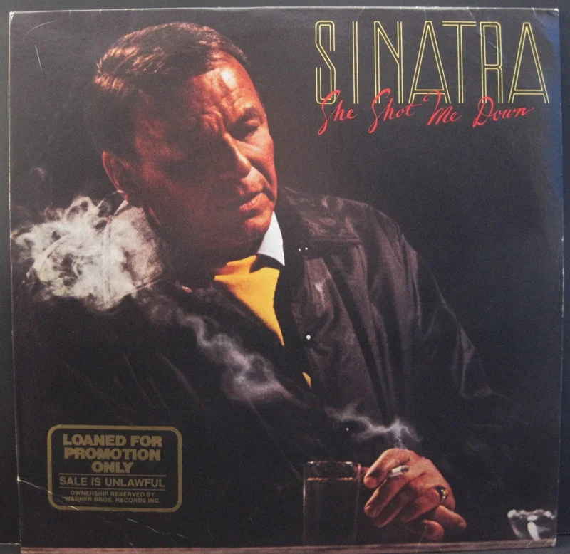 Frank Sinatra - She Shot Me Down
